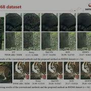 Densely Self Guided Wavelet Network For Image Denoising