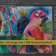 Lessons Adobe Photoshop 0307 Downsampling For Print
