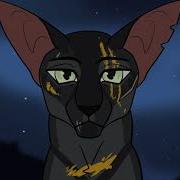 Warrior Cats OC PMV New Year S Eve