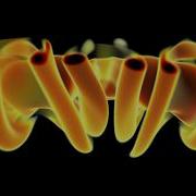From Rings To Smoke The Violent Breakdown Of Colliding Vortex Rings