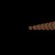 Programming Sprite Array Test