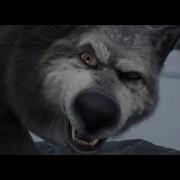 Lone Wolf Howls The Wolf