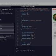 Basic CSS 12 44 Make Circular Images With A Border Radius FreeCodeCamp