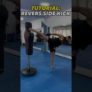 Tutorial Revers Side Kick Training Fighter Karate Kickboxing Taekwondo Mma Sidekick