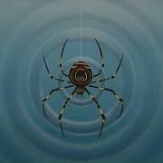 Grateful Dead Ripple Official Music Video