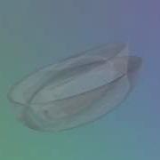 Klein Bottle Raytraced