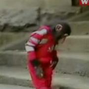 Bubbles Does The Moonwalk