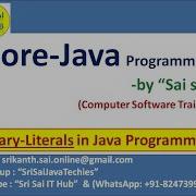 Java Binary Literals 308 Binary Literals In Java Programming Literals In Java Java Literals