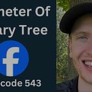 Diameter Of Binary Tree Leetcode 543 Trees Python