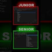 Junior Vs Senior Developer Programming Html Javascript Webdevelopment Html5 Webdesign Css3