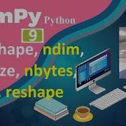 Numpy Python Tutorial 9 Numpy Attributes Size Shape Ndim Itemsize Nbytes Dtype Reshape