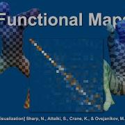 Introduction To Functional Maps