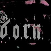 B O R N Live At The Firehouse 5 10 22