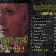 Internal Rot Grieving Birth LP FULL ALBUM 2020 Grindcore