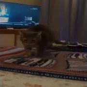 Bwomp Bwomp Bwomp Loaf