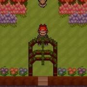 Pokemon Essentials Riding Pokemon