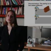 Generalization And Discrimination Prediction And Control With Function Approximation