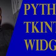 Python Tkinter Organizing Widgets And Layouts