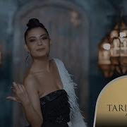 Tarık Sezer Orkestrası Feat Tuğba Tufantepe Yalanların Efendisi Official Video