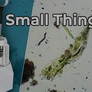Exploring The Microcosmos With A 3D Printed Microscope OpenFlexture