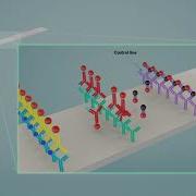 See How A Lateral Flow Immunoassay Works