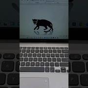 TIGER MS Word Symbol Shortcut Key Shorts Computer Tiger Asmr Keyboard Tricks Msword