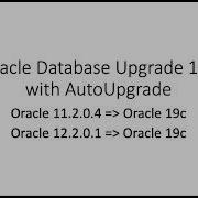Oracle Database AutoUpgrade 19c параллельное обновление двух баз данных