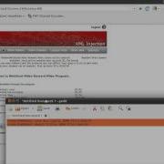 Webgoat AJAX Security XML Injection