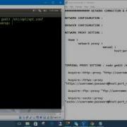 Linux Commands 11 Network Terminal Proxy Setting