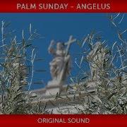 Pope Francis Celebration Of Palm Sunday Angelus Prayer 2019 04 14