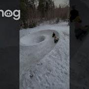 The Longer Winter Goes The Weirder The Tube Track Gets ViralHog