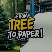 How Trees Turn Into Paper Step By Step Modern Papermaking Process Explained