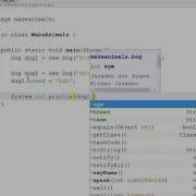 Static Access Modifier
