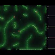 Slime Mold Simulation