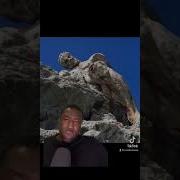 Окаменевшие великаны и животные