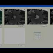Morphological Operations