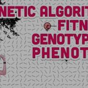 9 5 Genetic Algorithm Fitness Genotype Vs Phenotype The Nature Of Code