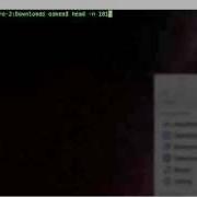 Head Command In BASH Get First Lines Of File