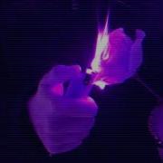 Dava Ранила Slowed