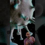 Ne Kadar Mikrop Sizi Hasta Edebilir