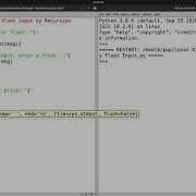 How To Take Only FLOAT Input In Python Recursion