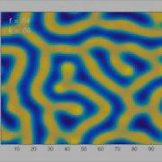 Gray Scott Reaction Diffusion Patterns