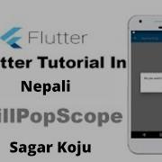Back Button Pressed WillPopScope In Flutter