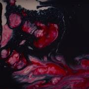 Milky Chance Blossom Official Audio