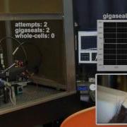 The PatcherBot Automated In Vivo Patch Clamp Recording Using Pipette Cleaning