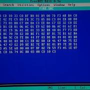 DEBUG EXE FIRE SRC Demo