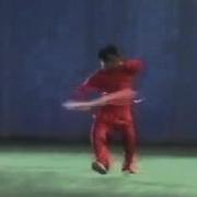 Daoshu Guiding I