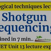 Shotgun Sequencing Method In Hindi Whole Genome Shotgun Sequencing Steps