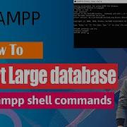 How To Import Mysql Database Command Line Using Xampp Shell Commands