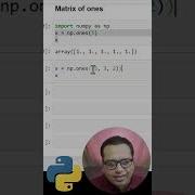 Python NumPy Matrix Of Ones Shorts